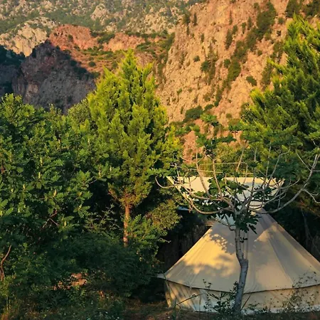 Glamping Butterfly Valley Glamping