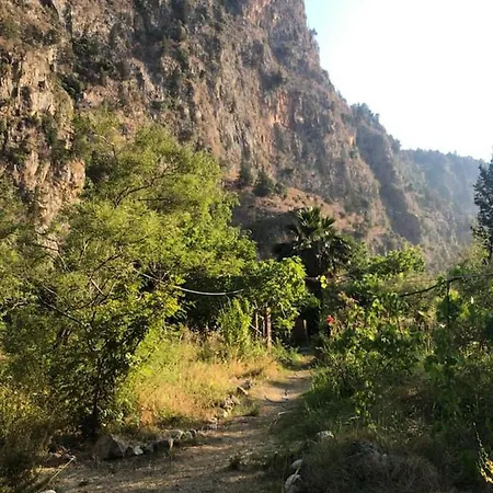 Campo de lujo Butterfly Valley Glamping Fethiye